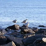 Strandresidenz Nr 05 *