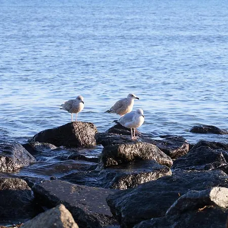 Strandresidenz Nr 05 *
